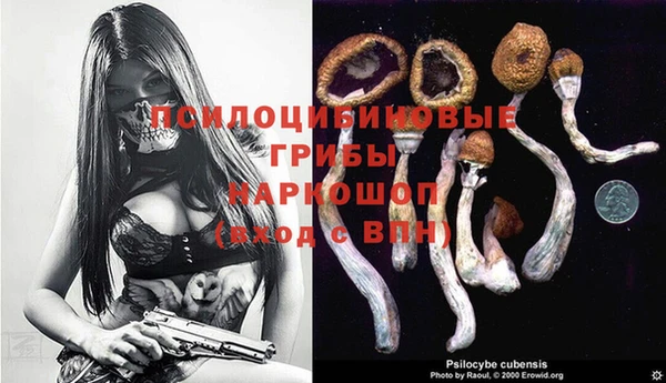 дмт Алексин