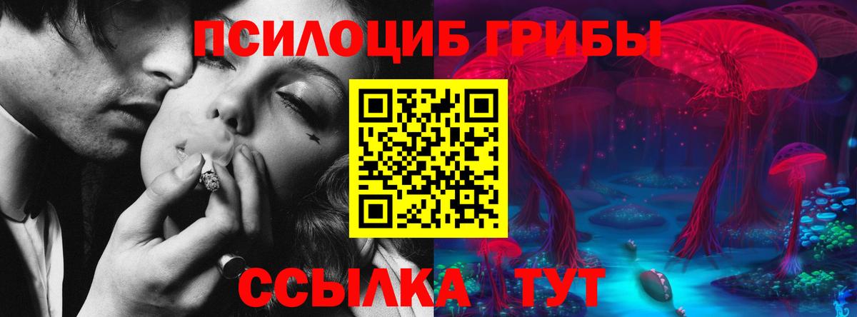 Псилоцибиновые грибы прущие грибы  Вход с VPN  Хасавюрт 