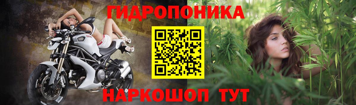 Каннабис AK-47 Хасавюрт